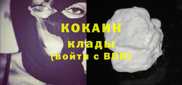 гидра Верхний Тагил