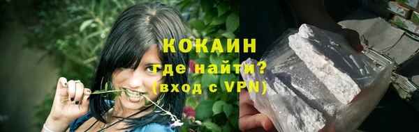 гидра Верхний Тагил