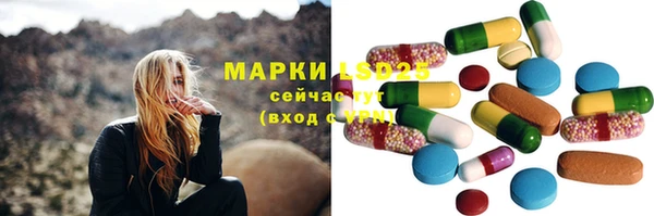 крисы Верея