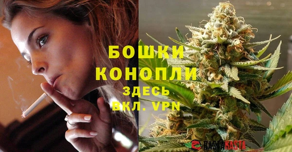 гидра Верхний Тагил