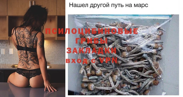 крисы Верея