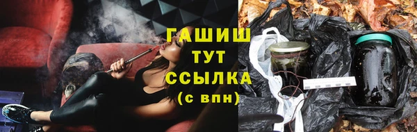 гидра Верхний Тагил